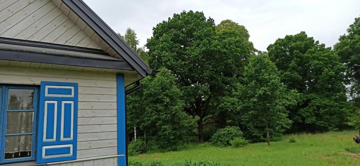 Gościniec Pod Dębami I - Housity