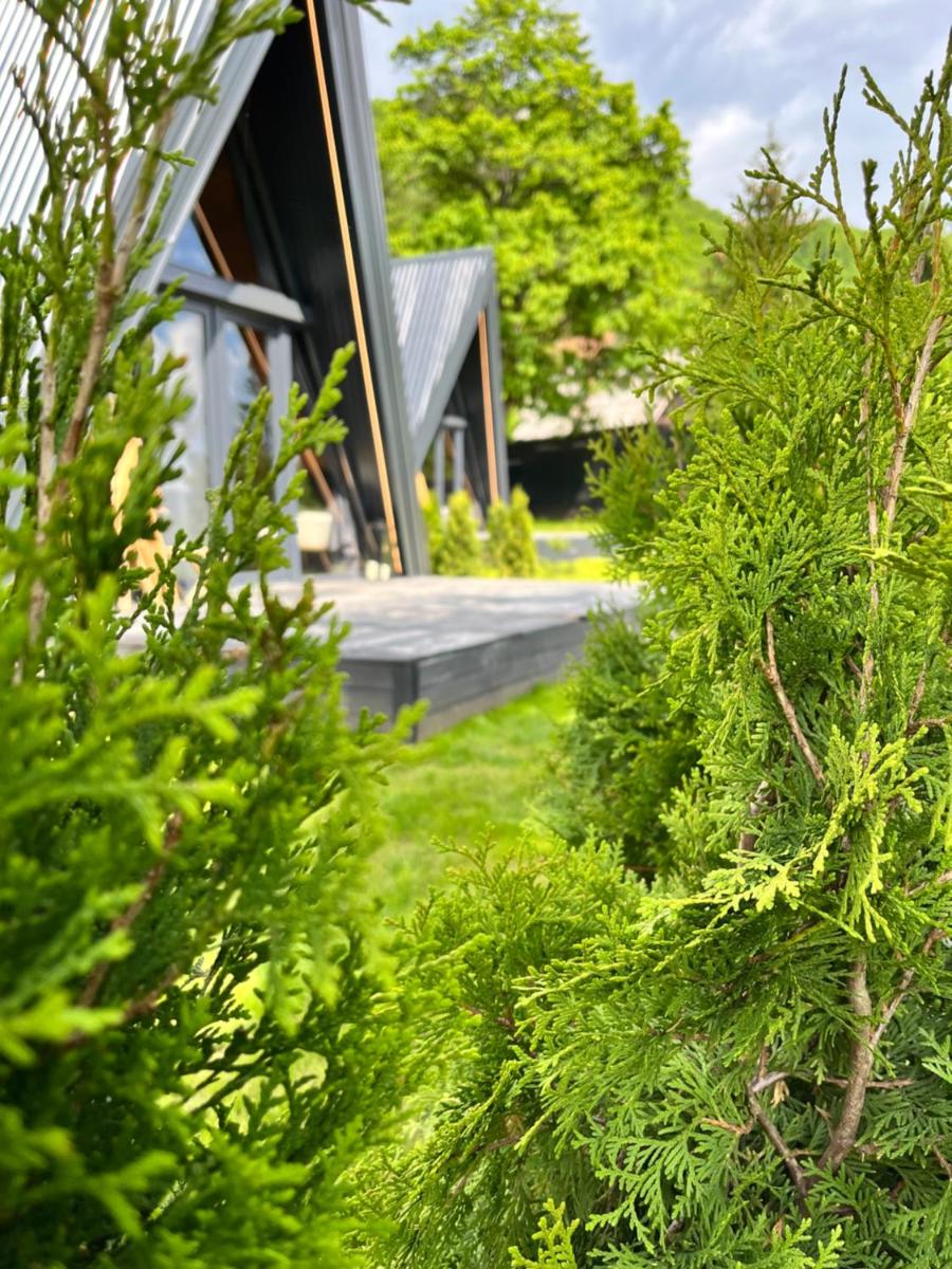 Loon Moon Mountain Chalets - Housity