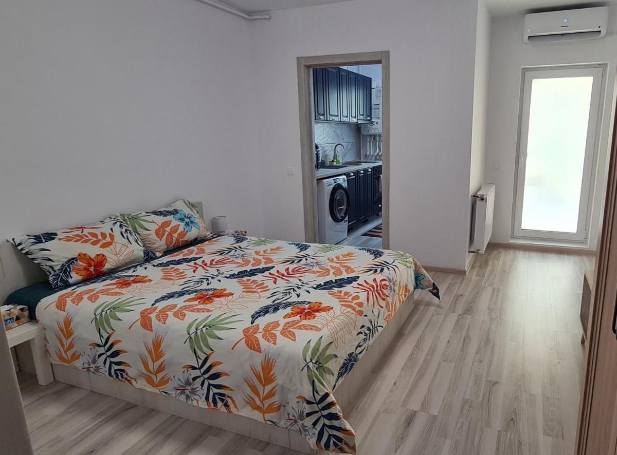 Siriului Studio - Housity