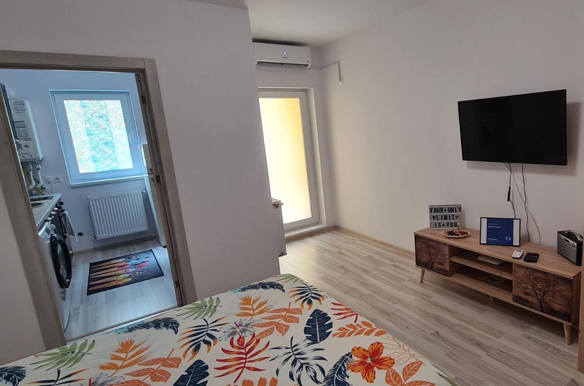 Siriului Studio - Hizvo