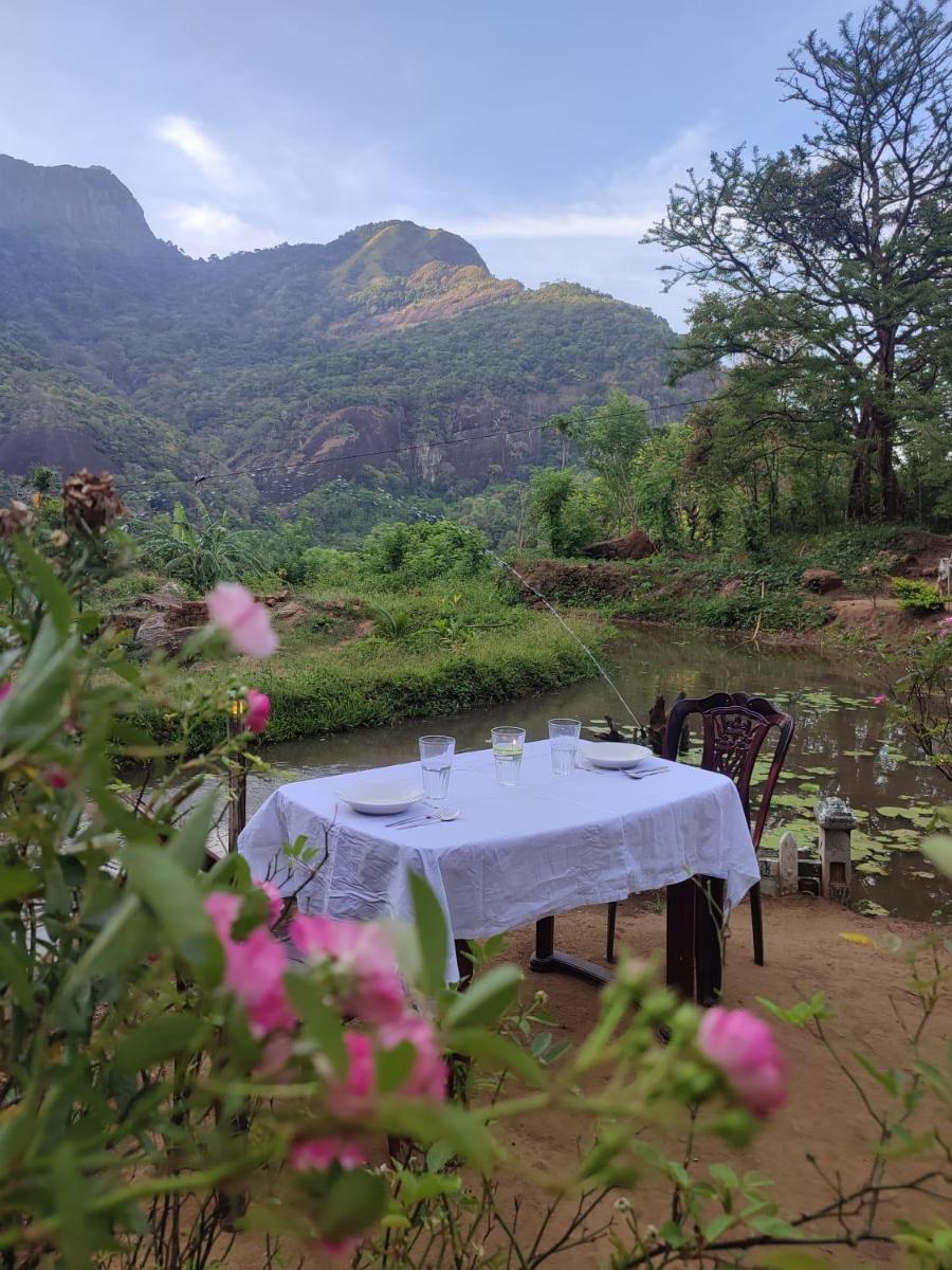 Eco Lodge Meemure & Adventure Park - Housity