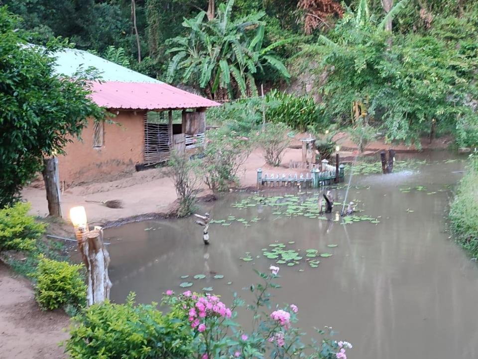Eco Lodge Meemure & Adventure Park - Housity