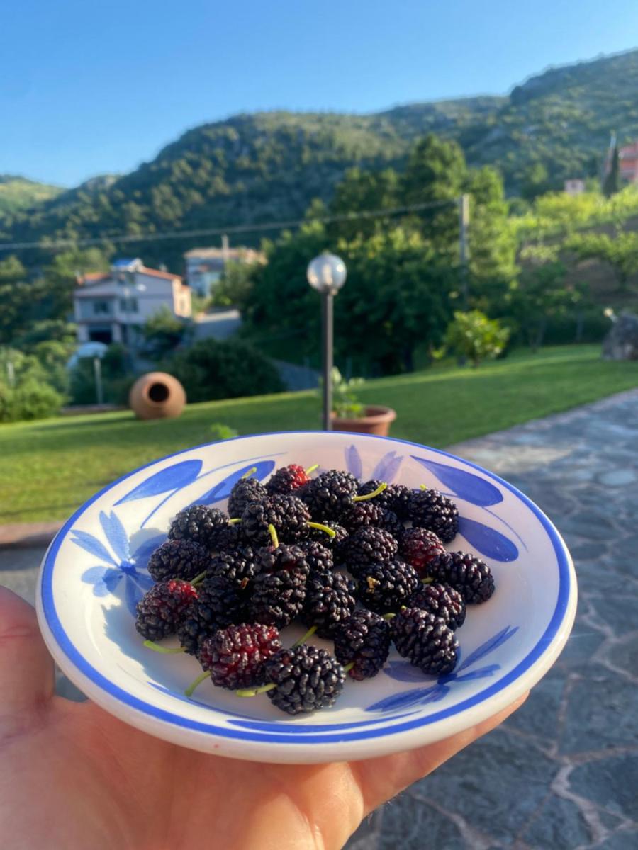 B&B Girasole - Housity
