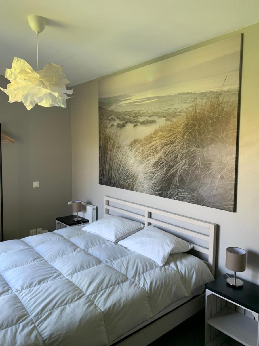 Sur le chemin des phoques - Housity