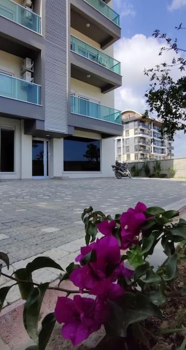 Royal Home - Housity