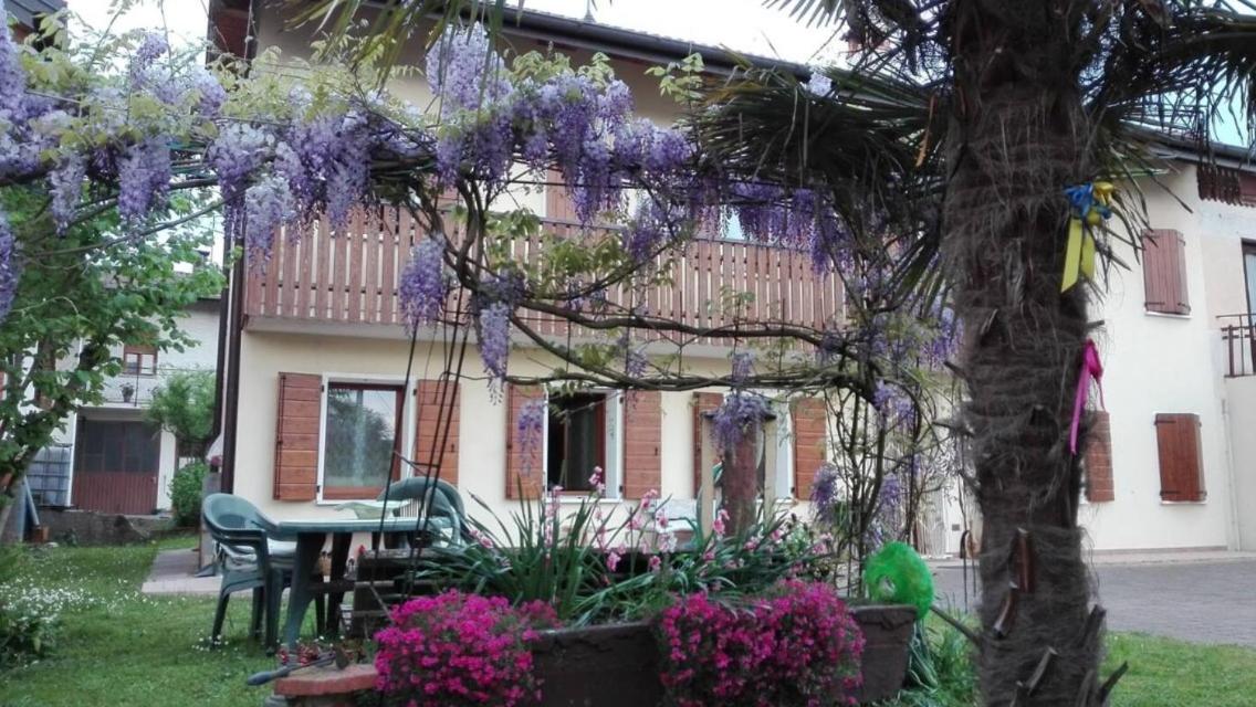Glicine delle Dolomiti - Housity