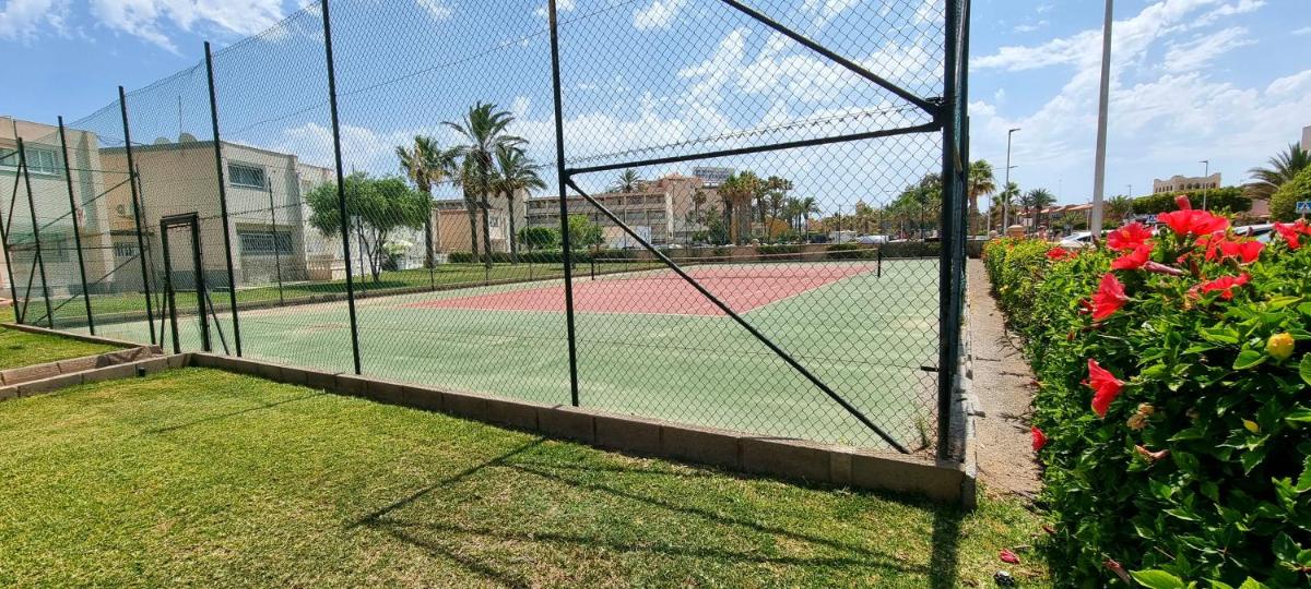 Tropicana playa - Housity
