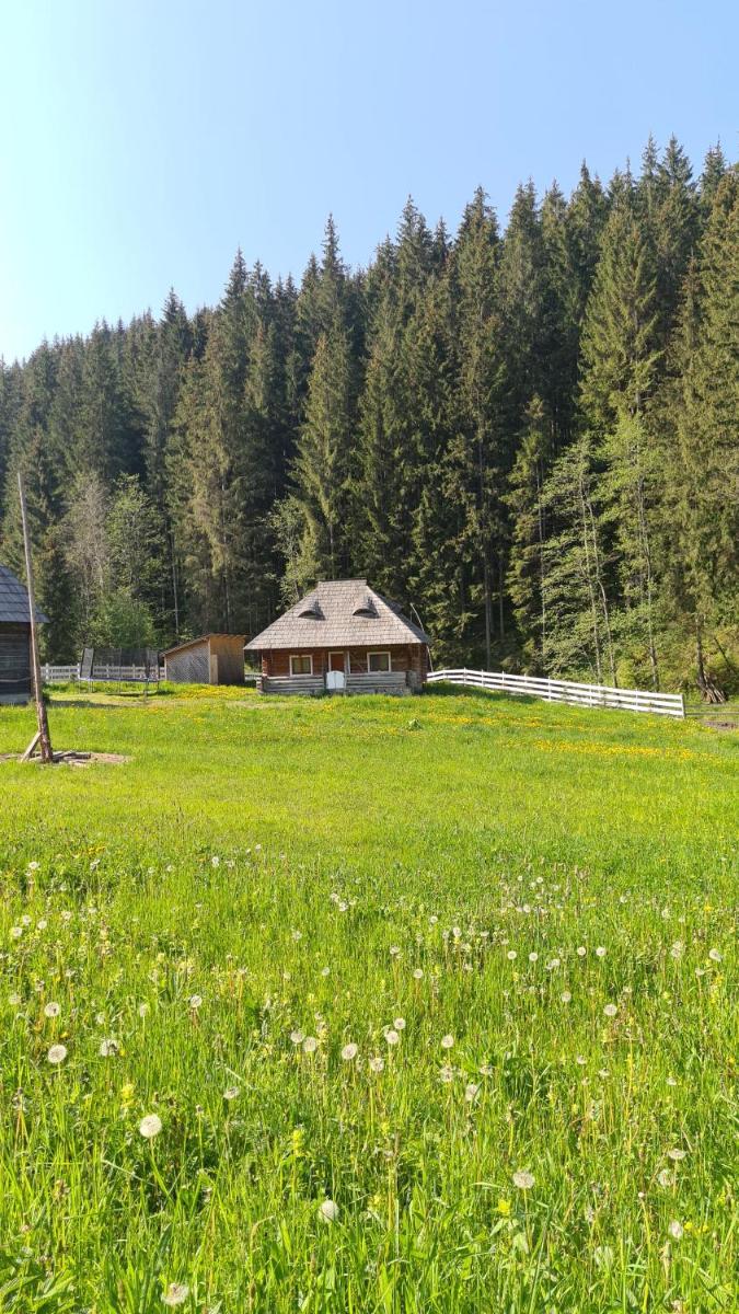 Cabana Păstrăvului - Housity