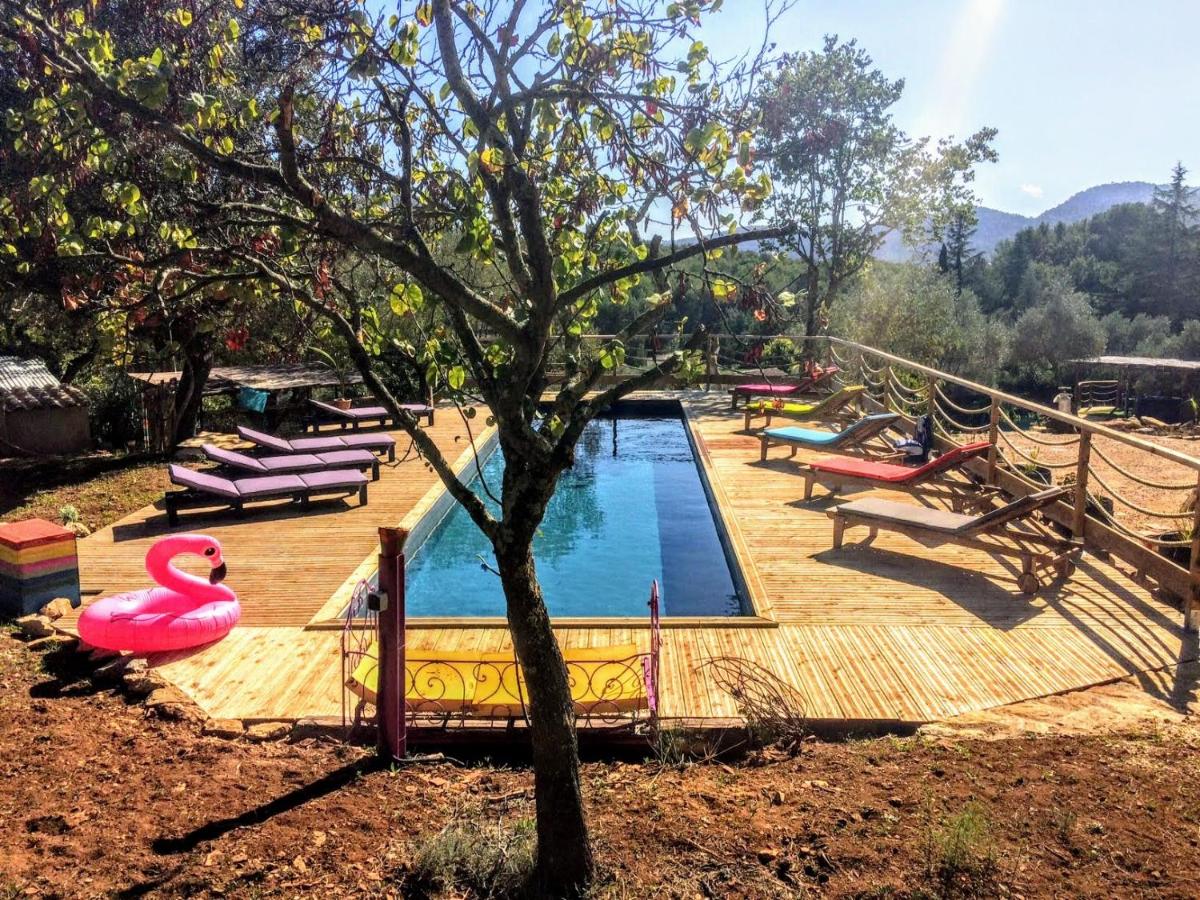 Arche de Noé atypique, bohème , nature, piscine chauffée toute l'année, spa , sauna , loisirs - Housity