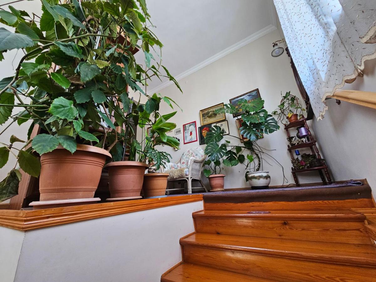 Tamari Guest House - Housity