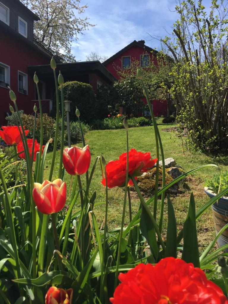 Ferienwohnung Auenthal - Housity