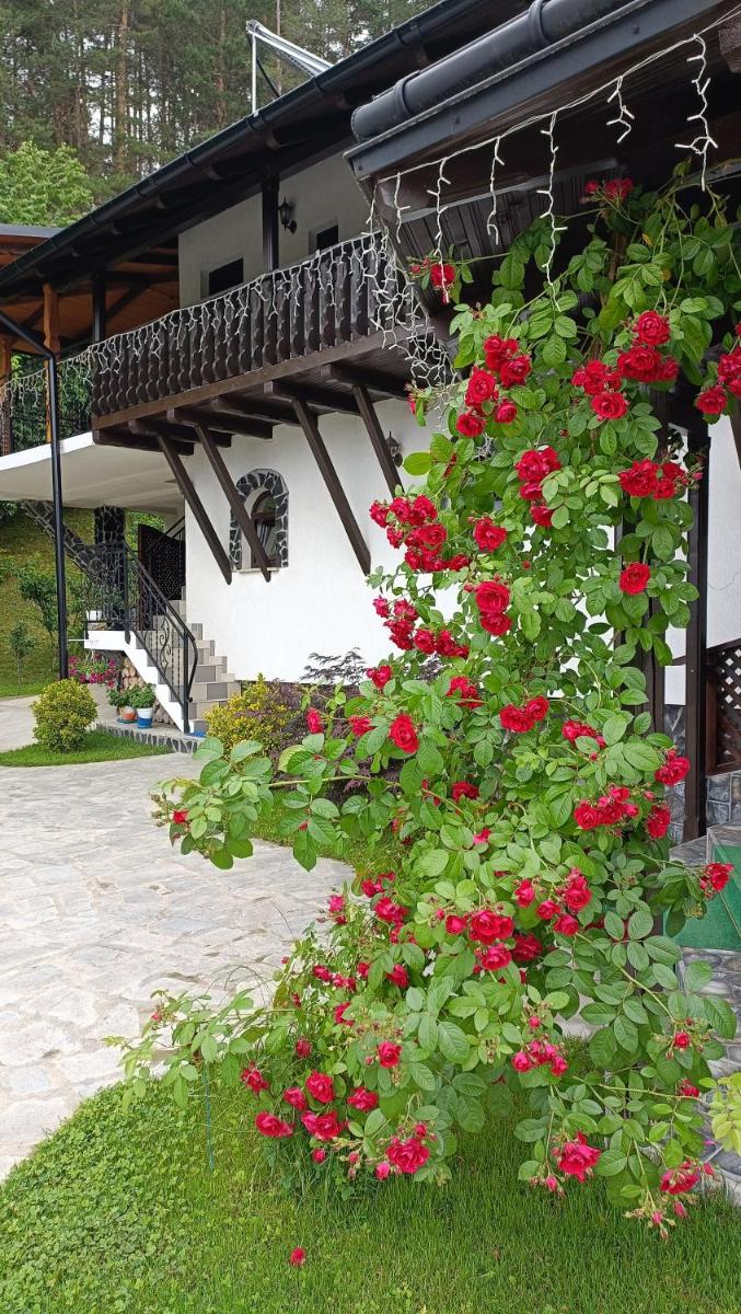CASA DINTRE PINI - Housity