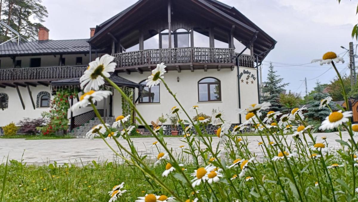 CASA DINTRE PINI - Housity