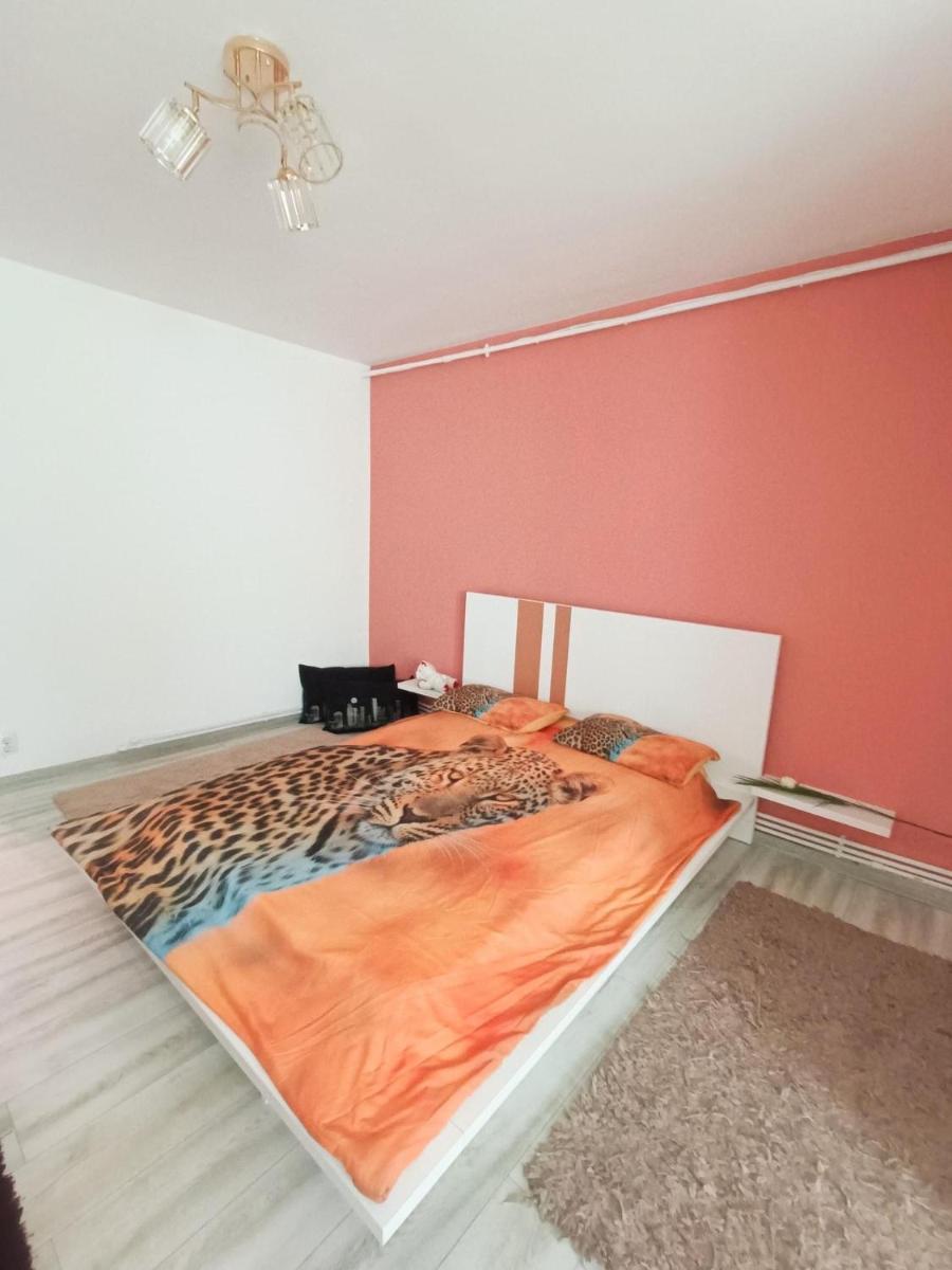 Garsoniera miky - Housity