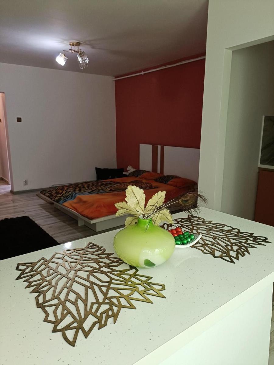 Garsoniera miky - Housity