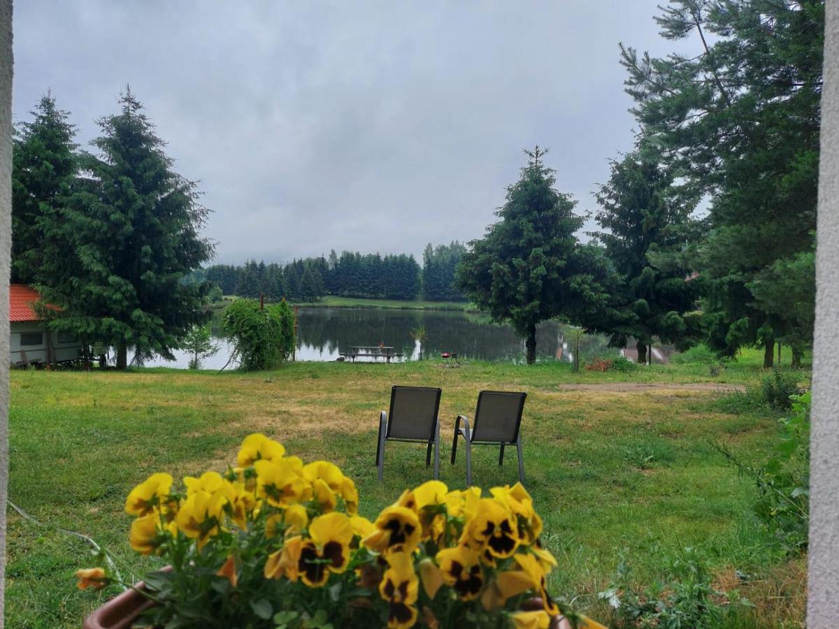 Mieszkanie nad jeziorem Rydzówka+prywatny staw+plaża+Mazury - Housity
