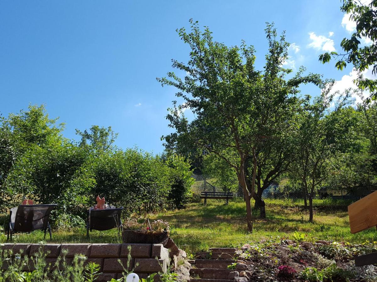 Charmantes Ferienhaus mit Naturgarten - Housity