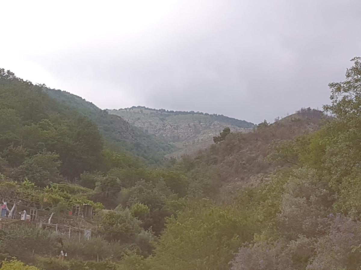 Bed & Breakfast Ca' di Vissai - Housity