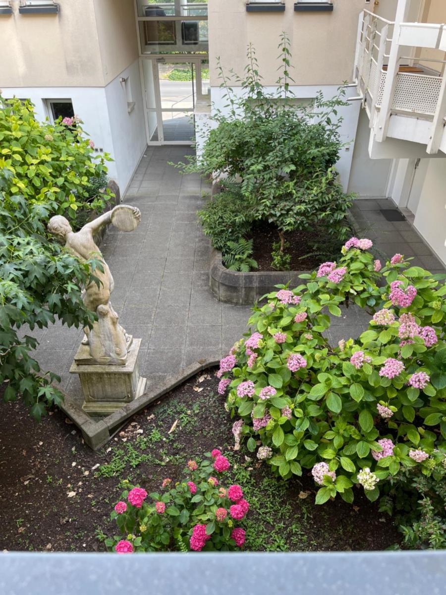 Kosly garden Robertsau - Housity