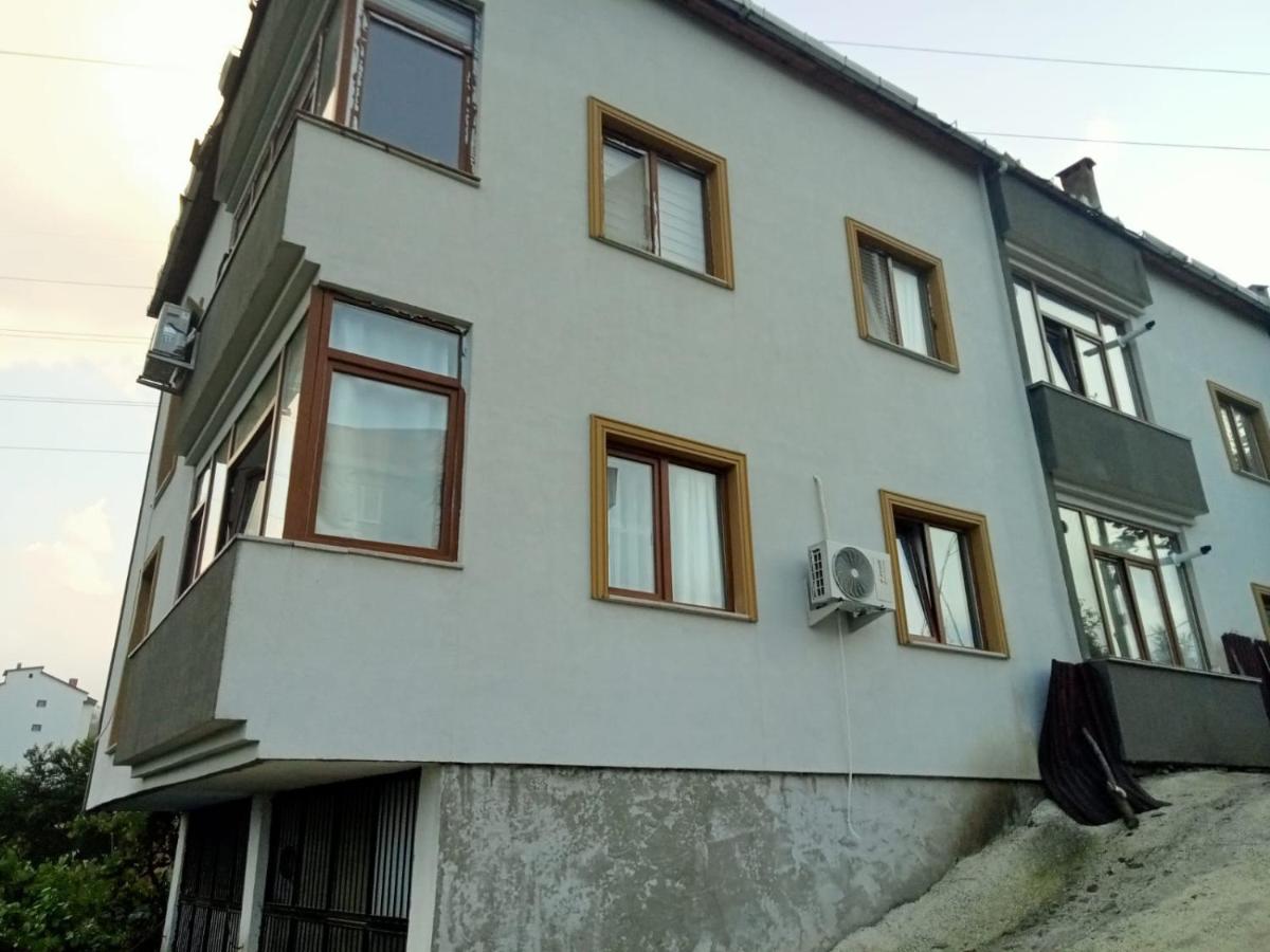 Aslan konaklama - Housity