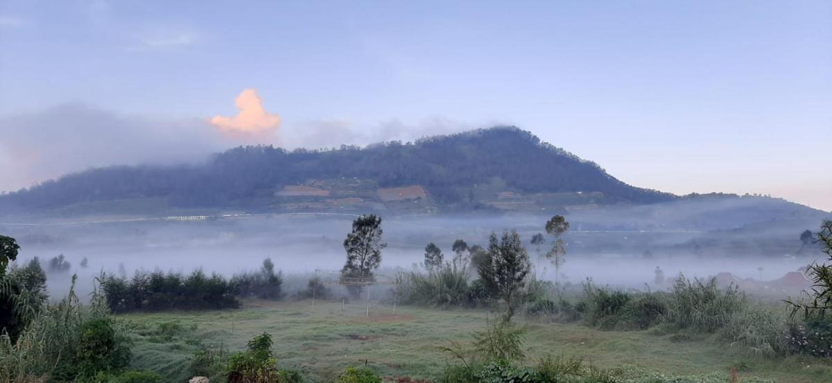 Homestay Cemeti Dieng - Housity