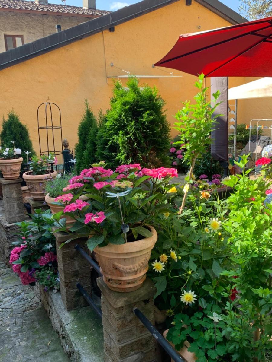 Suitetrails - Ferienhaus, Rustico Auf Burg