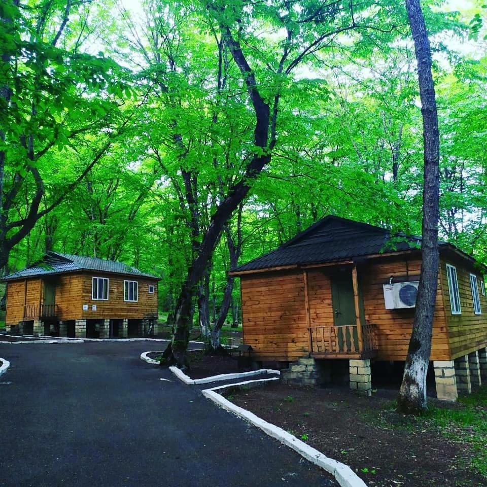 Quba Cottage - Housity