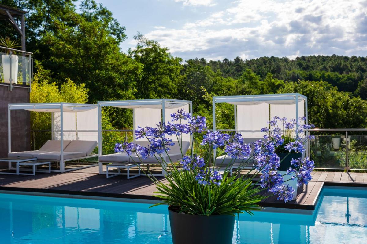 Piscine de l'établissement Domaine de Chalvêches Hôtel SPA 4* ou située à proximité