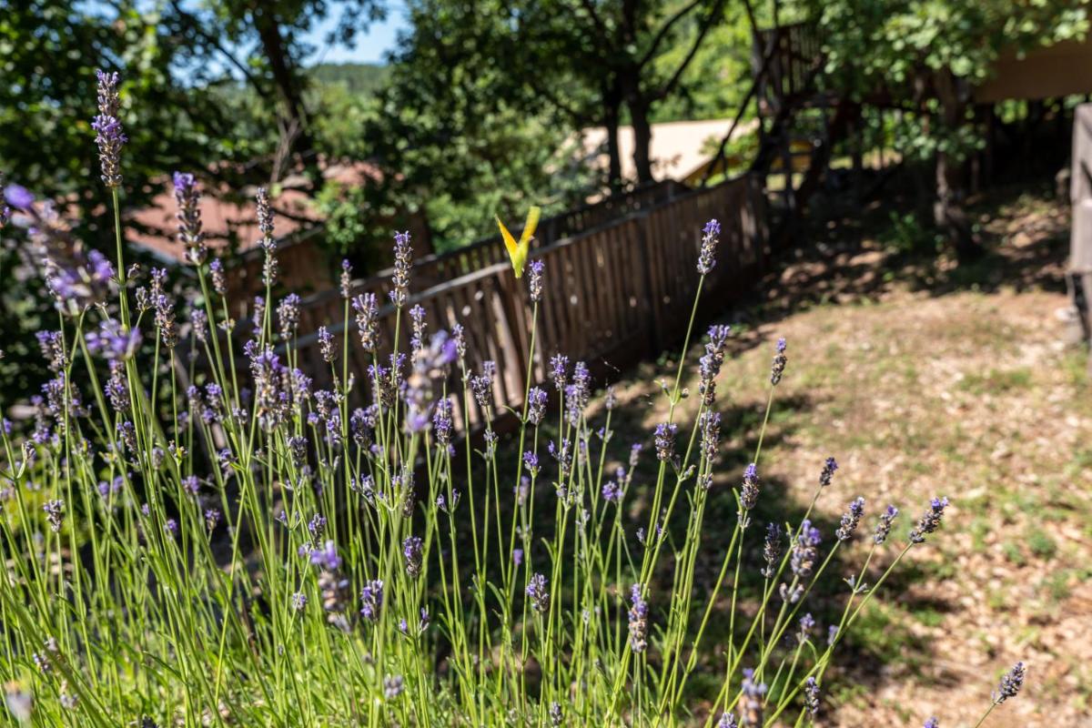 Jardin de l'établissement Domaine de Chalvêches Hôtel SPA 4*