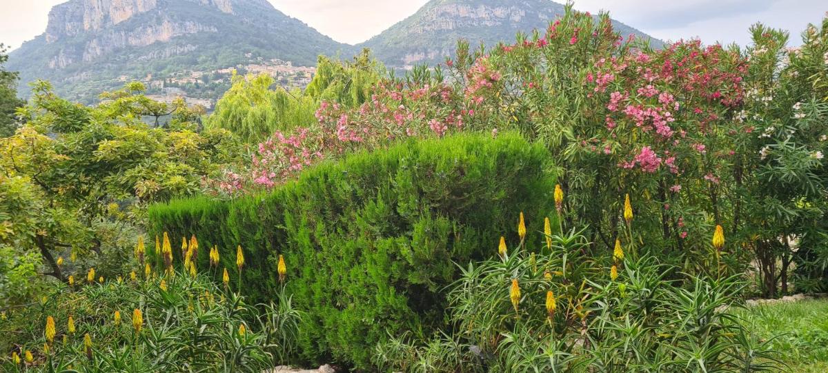 La Gaude Appart jardin 6 personnes - Housity
