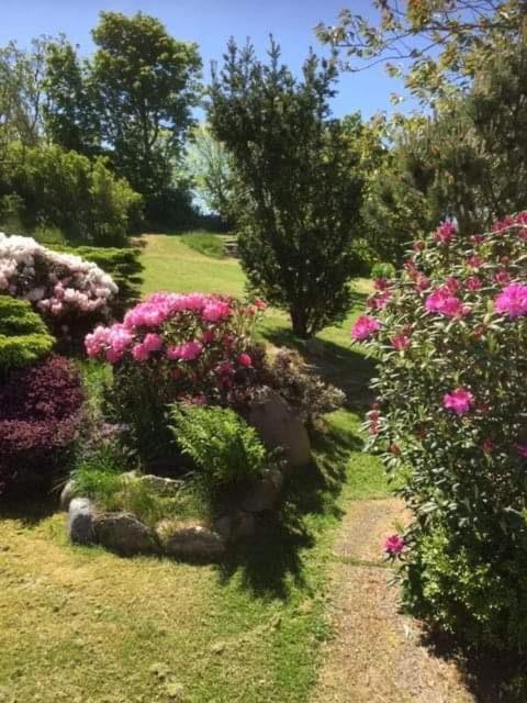 Suitetrails - Bjergby bed & breakfast