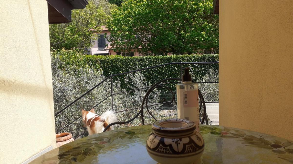 Di Luna e Di Sole - Housity