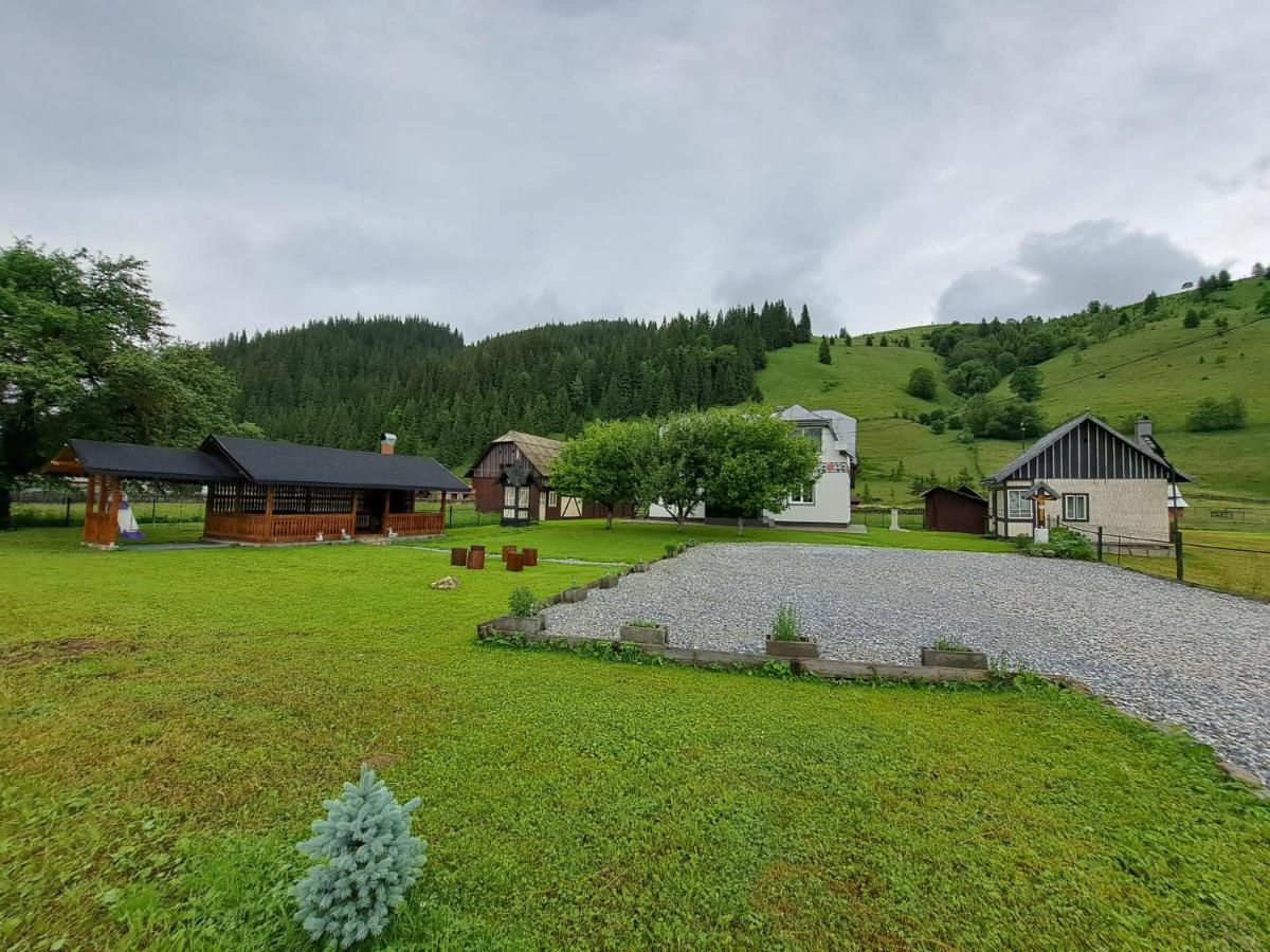 Casa Dumitru si Elena Ciocanesti Bucovina - Housity