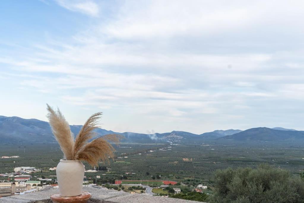 Αρχοντικό FoRRest - Housity