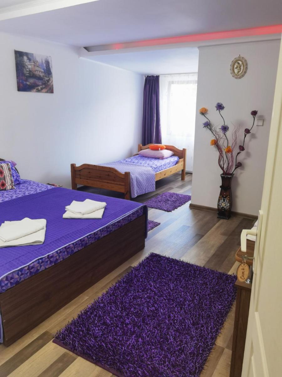 Casa Vânătorului Lerești - Housity