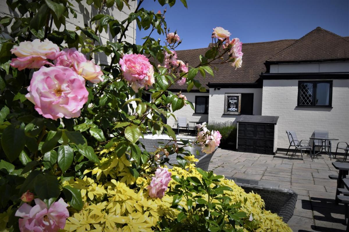 The Stag Rooms - Housity