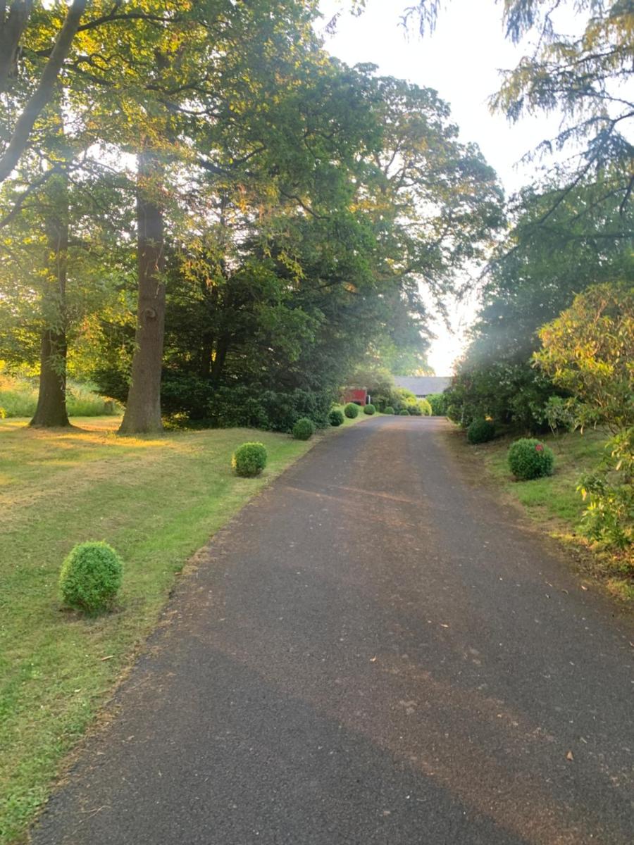 Suitetrails - Dalton House Bed and Breakfast