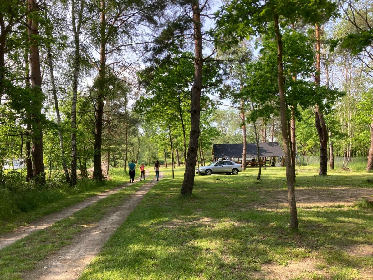 Leśne zacisze-pole namiotowe - Housity