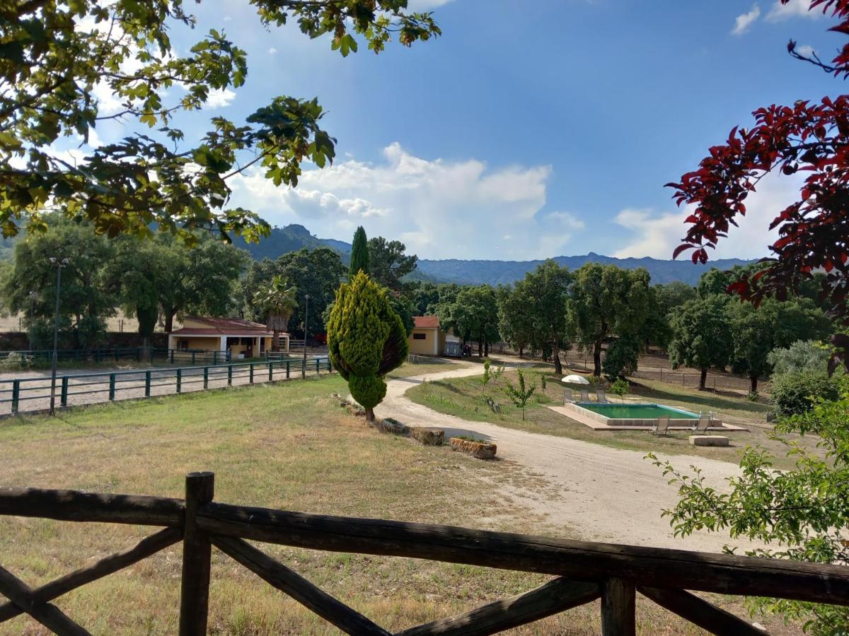 Casa da Vinha - Housity
