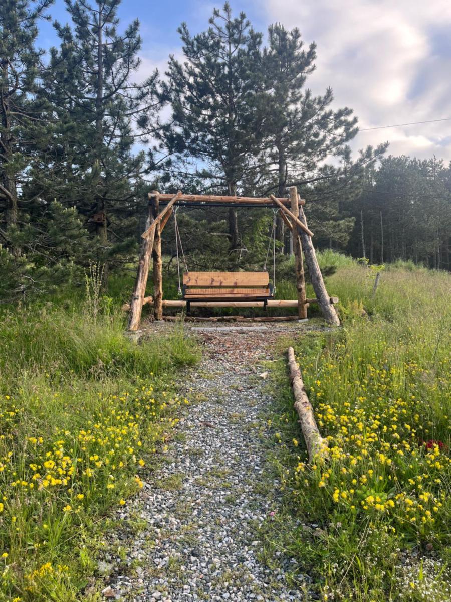 Studio Viline kose - Housity