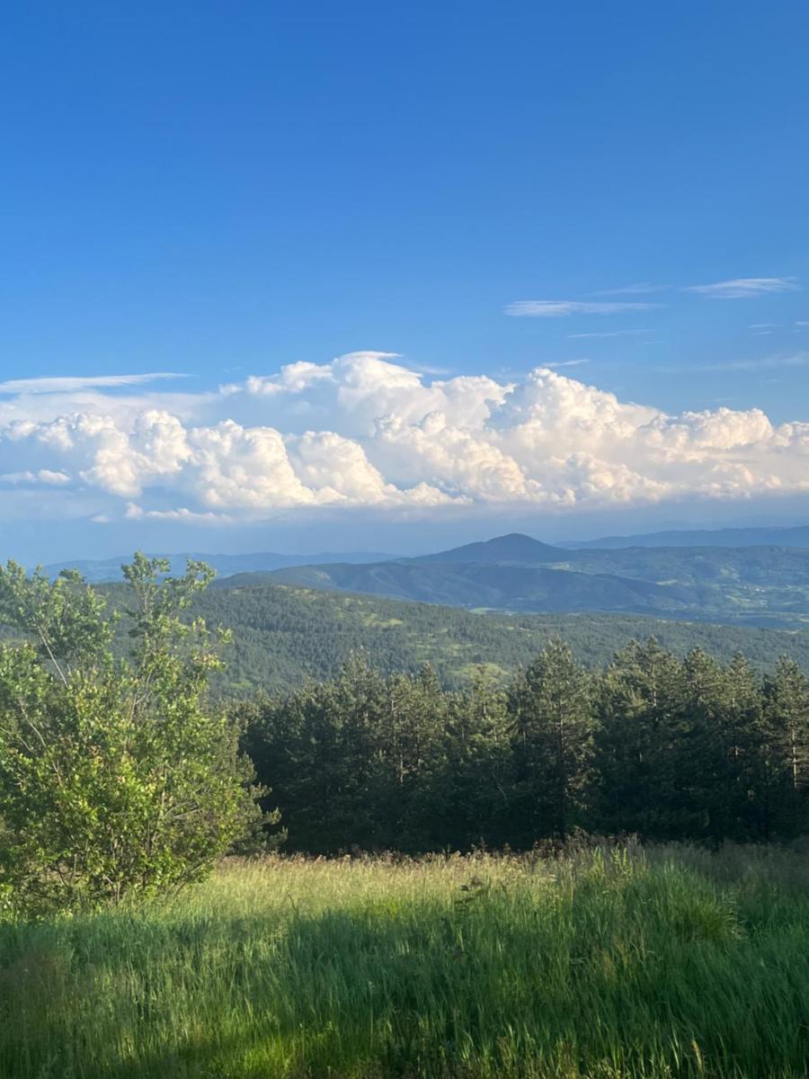 Studio Viline kose - Housity