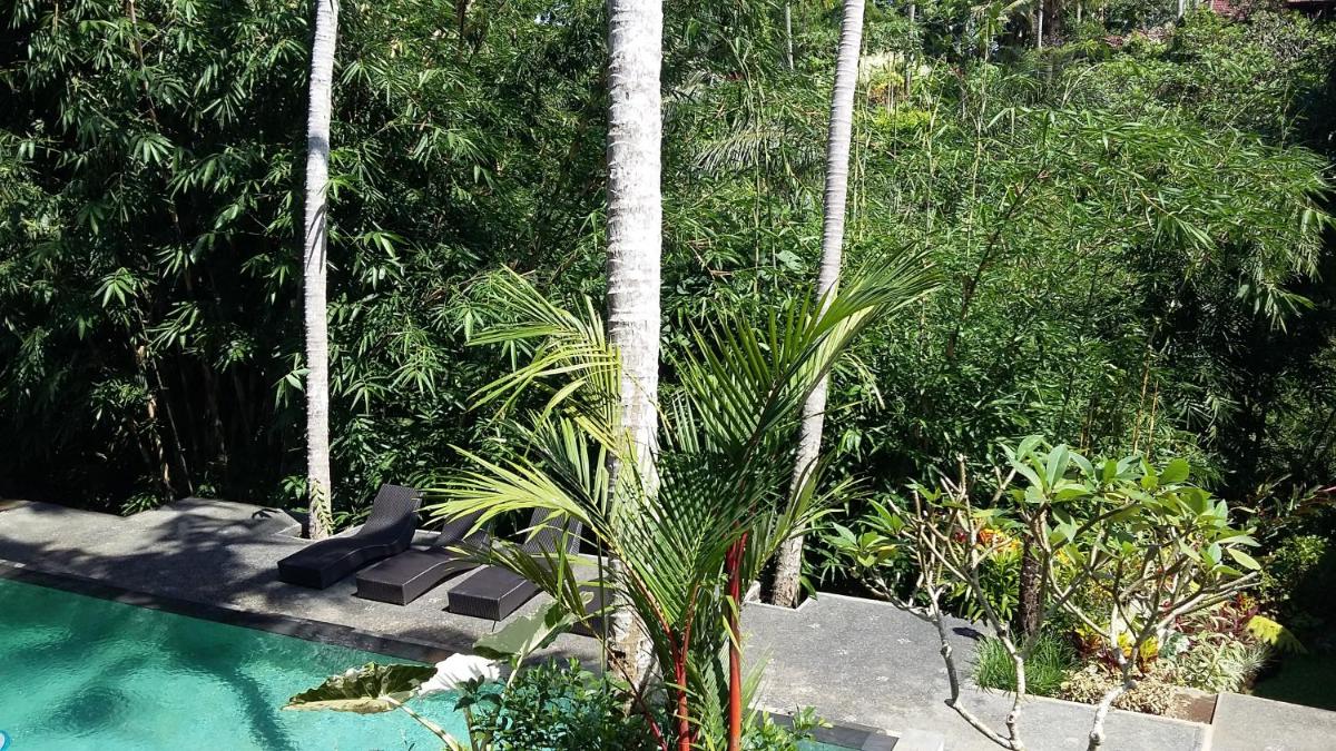 The Bali Shanti - Housity