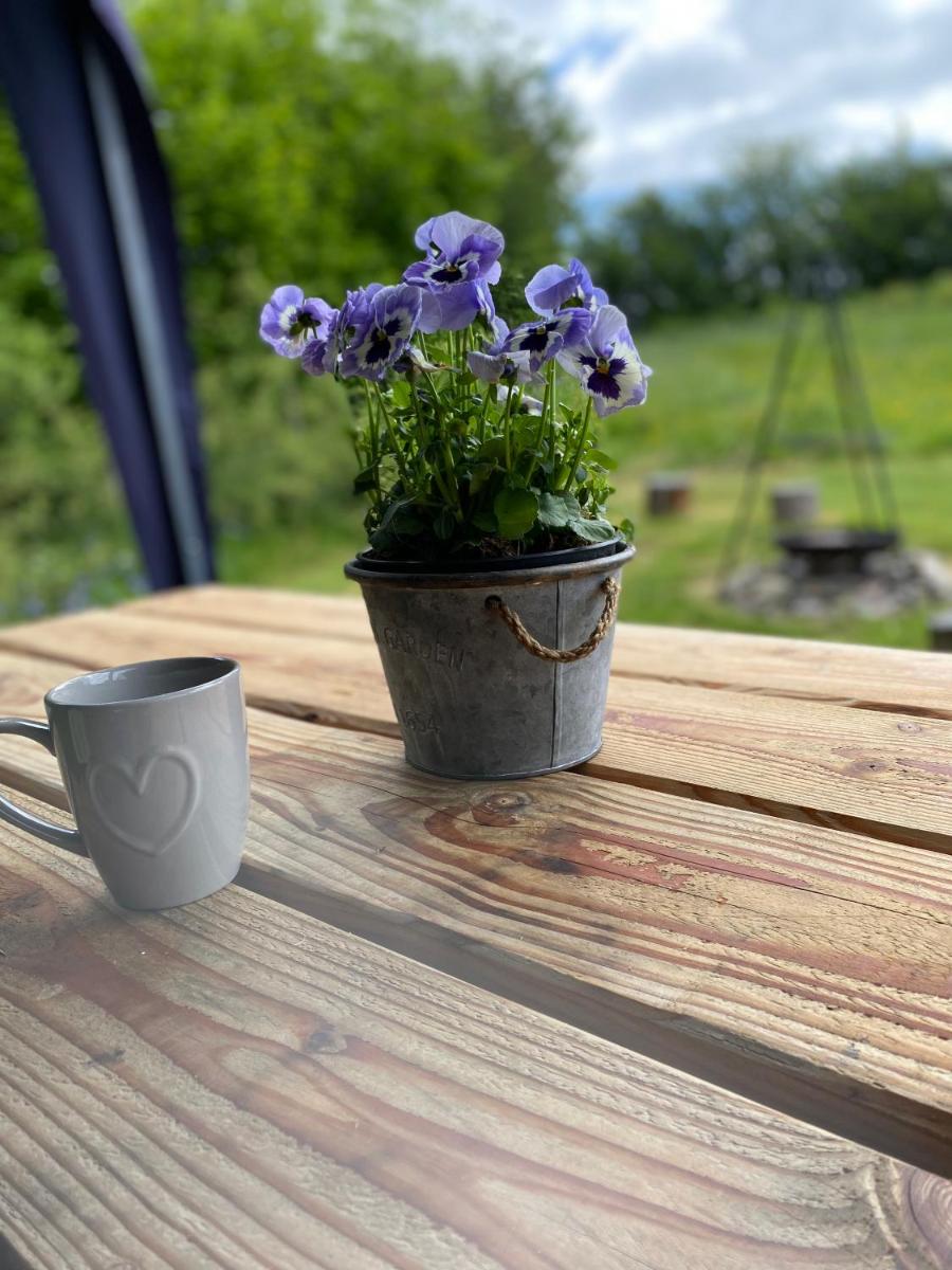 Daisy Bell Tent at Belan Bluebell Woods - Housity