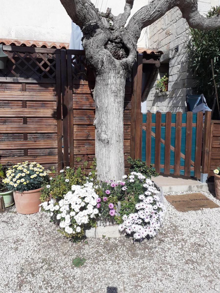 Ciotat La Plage - Housity