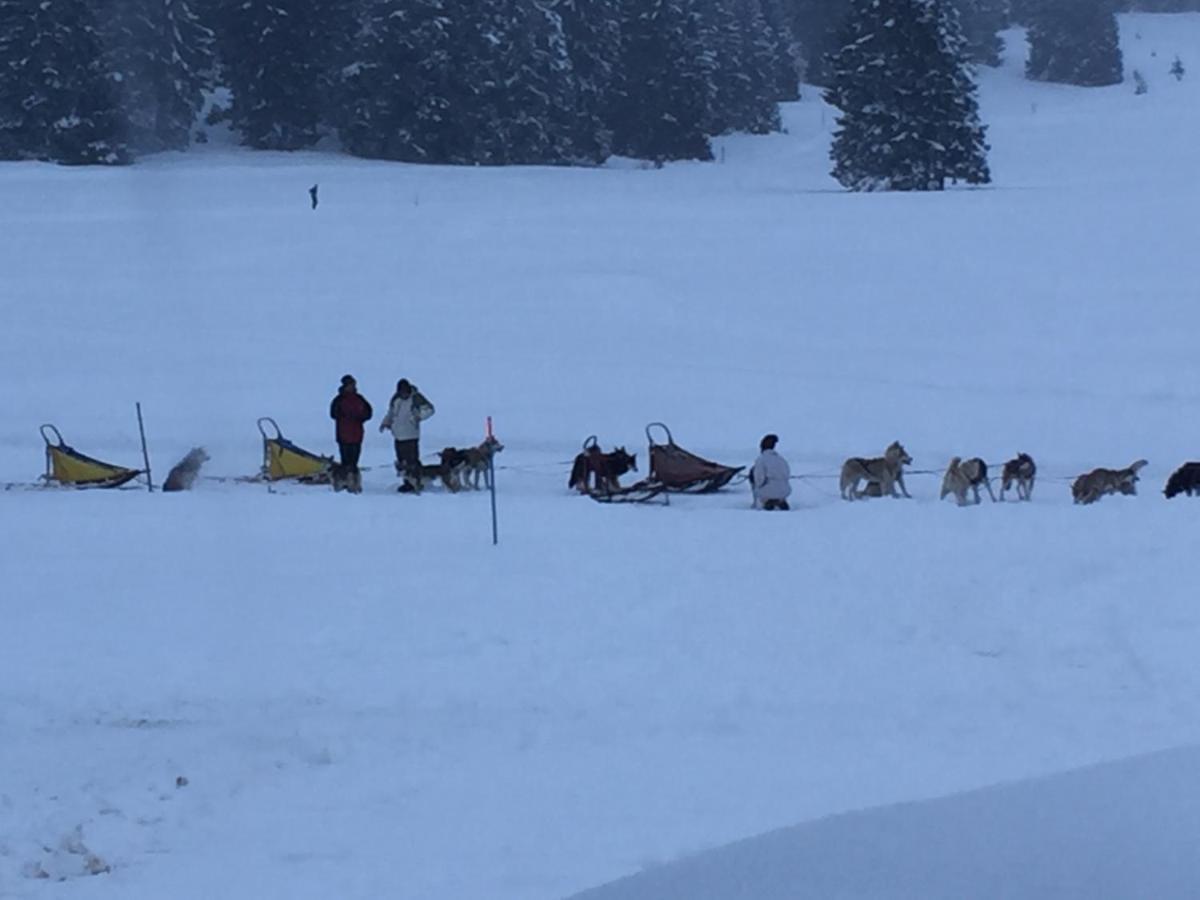 Malga Millegrobbe Nordic Resort - Housity