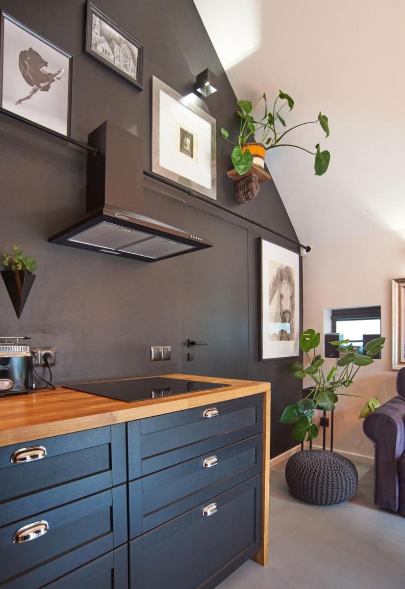 Villa Kamionka Small House - Housity