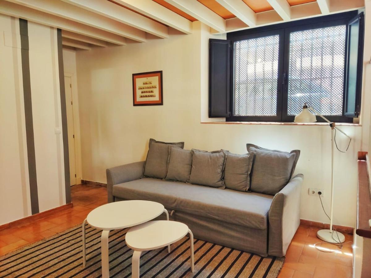 PRECIOSO LOFT en PALACIO DE GODOY - Housity