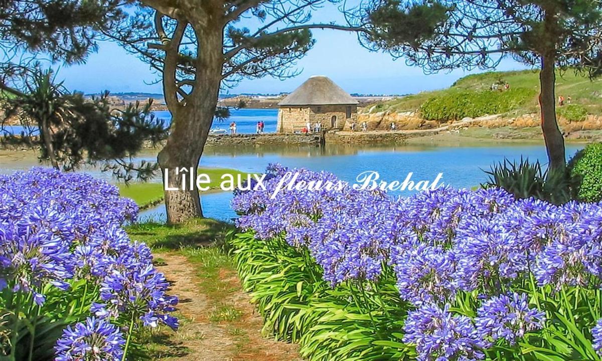 La Belle Paimpolaise - Housity