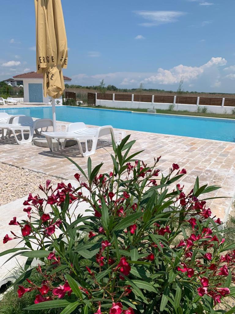 Pensiunea Taisia - Housity