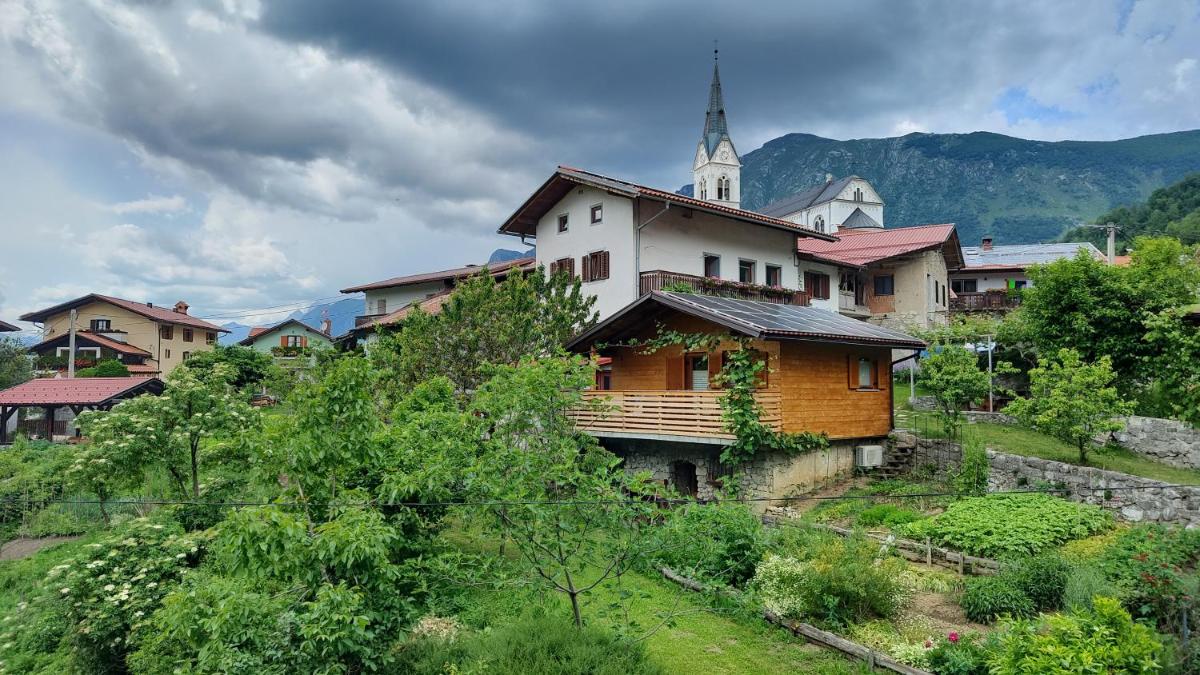 Apartma Mataj - Housity